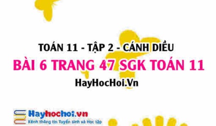 Bài 6 trang 47 Toán 11 tập 2 Cánh Diều